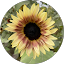 maddie m., verified Google reviewer