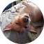 Sergio R., verified Google reviewer